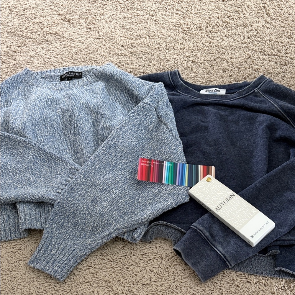 Blue Sweater and Sweatshirt Lot